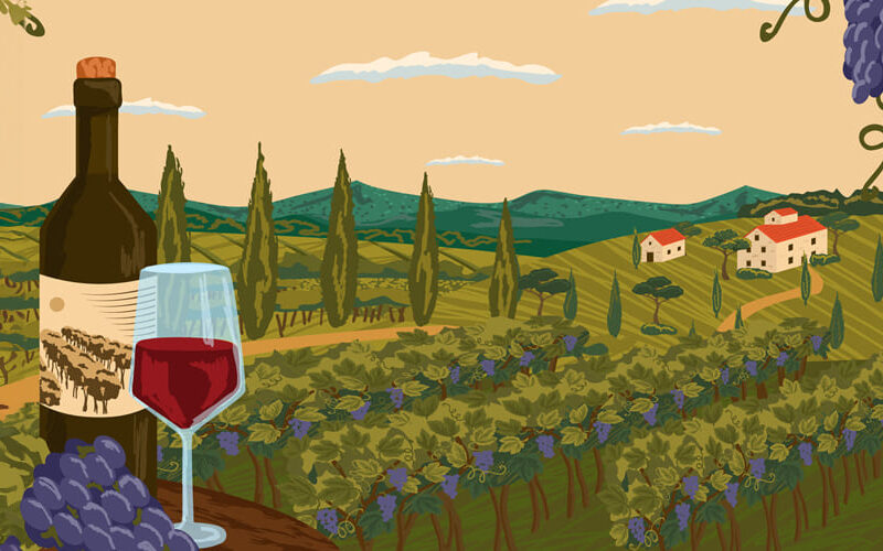 El encanto de los vinos de la Toscana