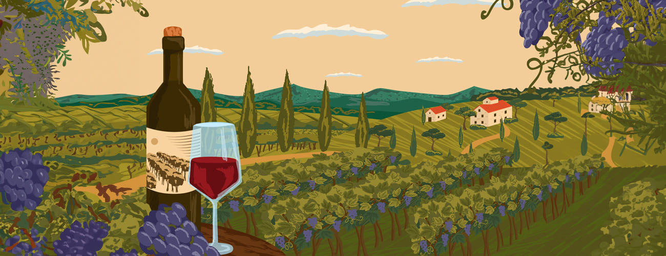 El encanto de los vinos de la Toscana