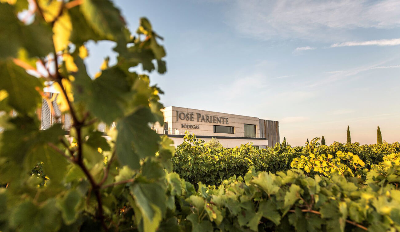 Bodegas José Pariente Rueda