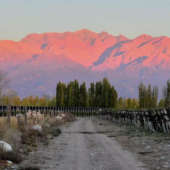 Bodegas Caro