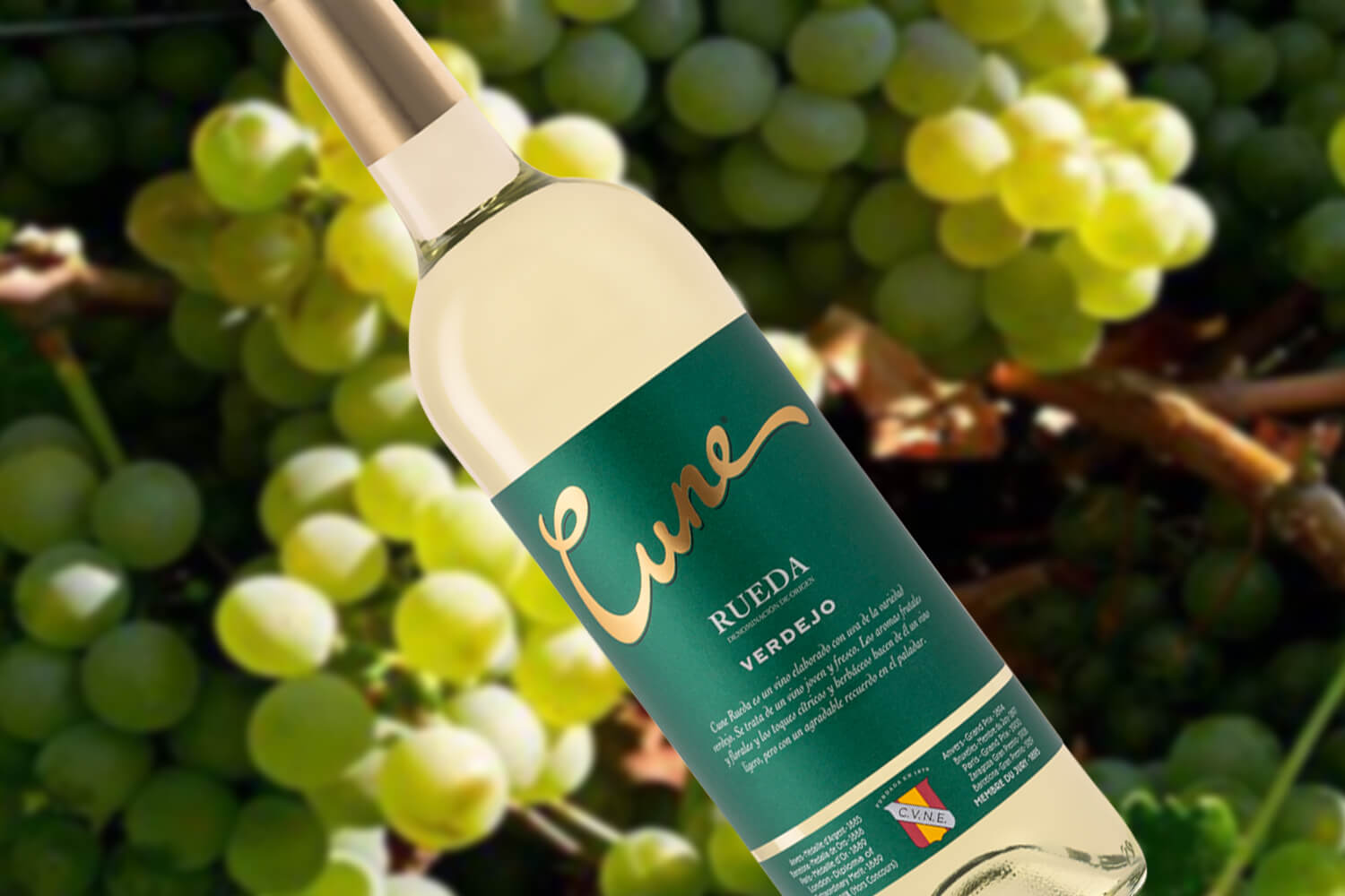 Cvne Rueda Verdejo