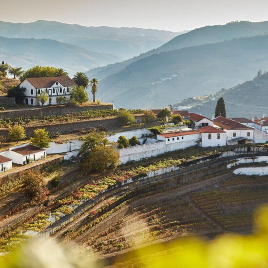 Quinta Do Noval