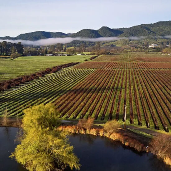 Silverado Vineyards